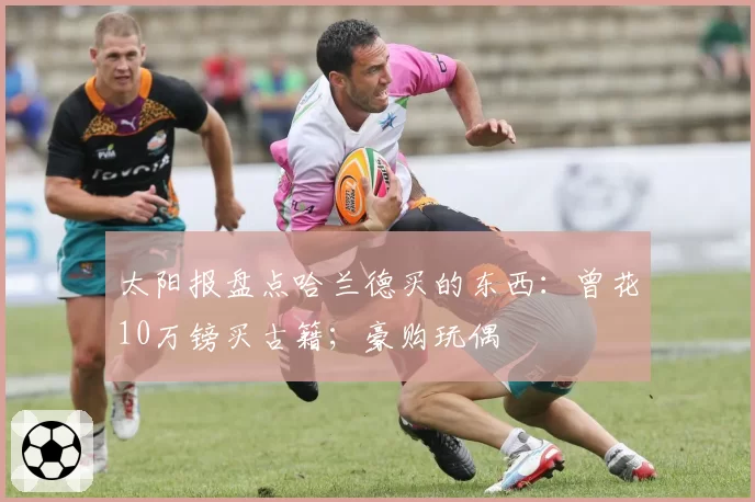 太阳报盘点哈兰德买的东西：曾花10万镑买古籍；豪购玩偶